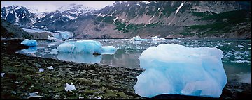 Glacial scenery with icebergs and glacier. Glacier Bay National Park (Panoramic color)