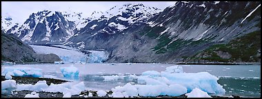 Coastal scenery with icebergs and tidewater glacier. Glacier Bay National Park (Panoramic color)