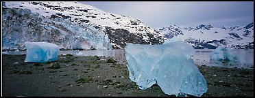 Beach iceberg and tidewater glacier front. Glacier Bay National Park (Panoramic color)