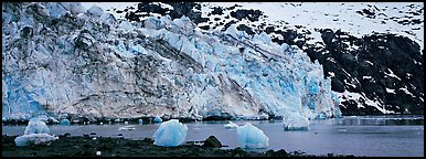 Glacier terminus. Glacier Bay National Park (Panoramic color)