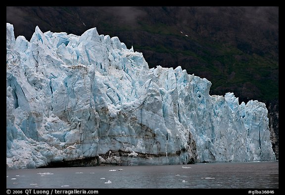Front of Margerie Glacier against dark mountainside. Glacier Bay National Park, Alaska, USA.