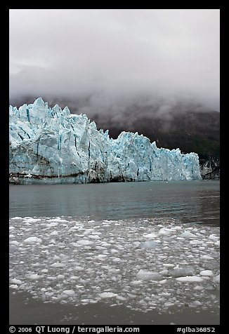 Icebergs, Margerie Glacier, and fog. Glacier Bay National Park, Alaska, USA.