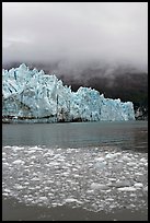 Icebergs, Margerie Glacier, and fog. Glacier Bay National Park, Alaska, USA.