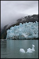 Icerberg at the base of Margerie Glacier. Glacier Bay National Park, Alaska, USA. (color)