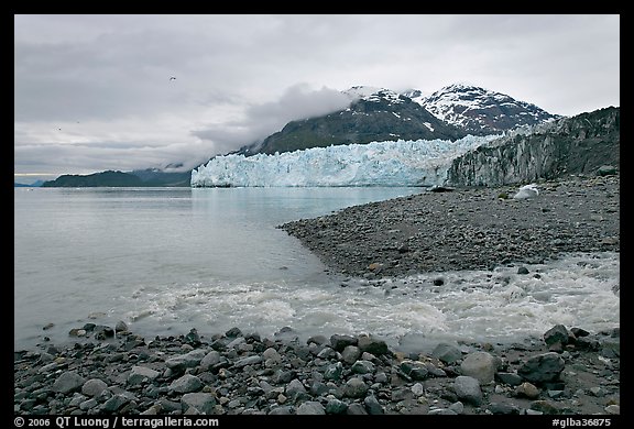 Stream flowing into Tarr Inlet, and Margerie Glacier. Glacier Bay National Park, Alaska, USA.