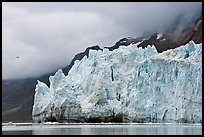 Terminus face of Margerie Glacier. Glacier Bay National Park, Alaska, USA. (color)