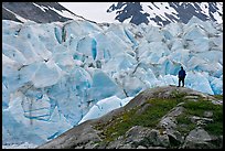 Hiker on a hill below Reid Glacier. Glacier Bay National Park, Alaska, USA. (color)