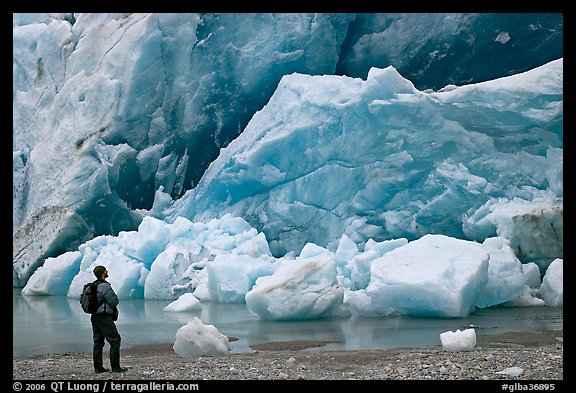 Hiker looking at ice wall at the front of Reid Glacier. Glacier Bay National Park, Alaska, USA.