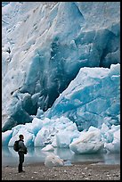 Hiker looking at ice wall at the terminus of Reid Glacier. Glacier Bay National Park, Alaska, USA. (color)