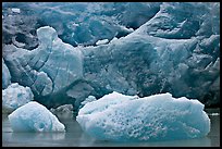 Icebergs and blue ice at the base of Reid Glacier. Glacier Bay National Park, Alaska, USA.