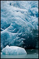 Iceberg and ice cave at the base of Reid Glacier. Glacier Bay National Park, Alaska, USA. (color)