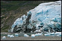 Stranded icebergs on beach and Reid Glacier terminus. Glacier Bay National Park, Alaska, USA.