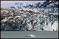 Iceberg and ice face of Lamplugh glacier. Glacier Bay National Park, Alaska, USA. (color)