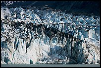 Tidewater ice front of Lamplugh glacier. Glacier Bay National Park, Alaska, USA. (color)