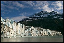 Lamplugh glacier and Mt Cooper, late afternoon. Glacier Bay National Park, Alaska, USA. (color)
