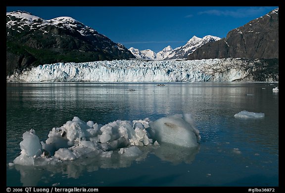 Iceberg, wide front of Margerie Glacier and Fairweather range. Glacier Bay National Park, Alaska, USA.
