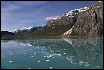Icebergs and reflections in Tarr Inlet. Glacier Bay National Park, Alaska, USA. (color)