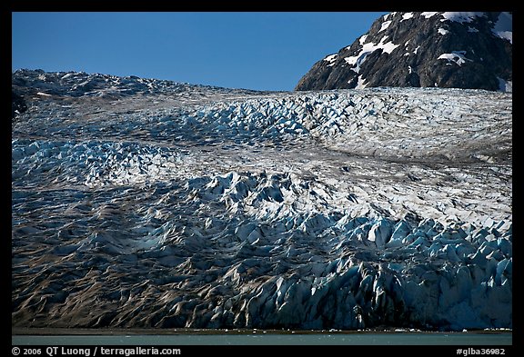 Reid Glacier. Glacier Bay National Park, Alaska, USA.