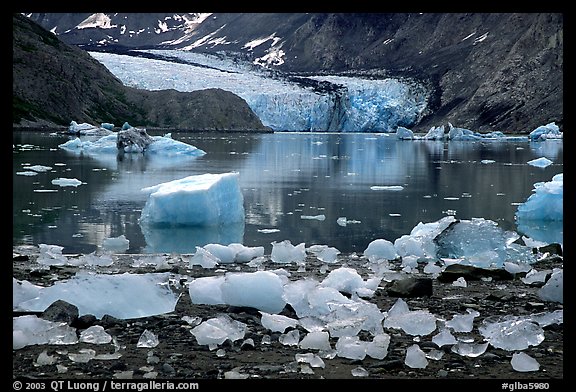 Icebergs and McBride Glacier. Glacier Bay National Park