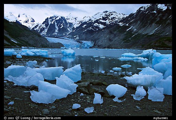 Icebergs and McBride Glacier. Glacier Bay National Park