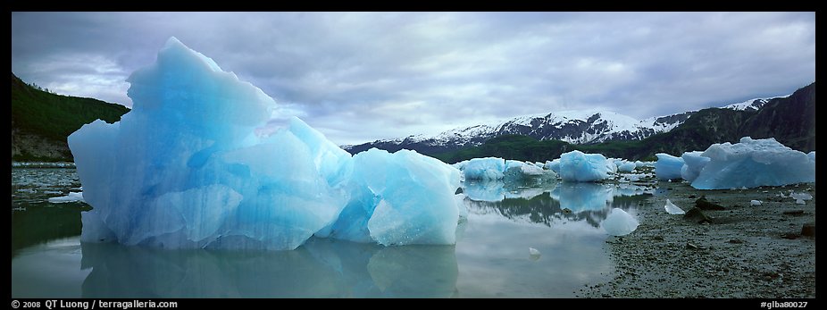 Blue beached icebergs. Glacier Bay National Park, Alaska, USA.
