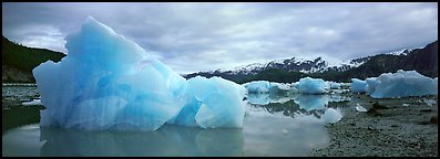 Blue beached icebergs. Glacier Bay National Park (Panoramic color)