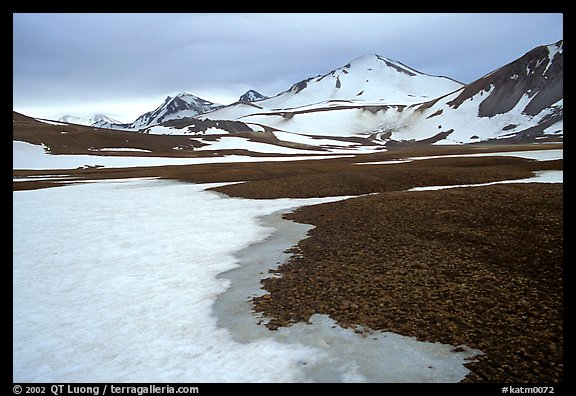 Melting snow and lichens, Valley of Ten Thousand smokes. Katmai National Park