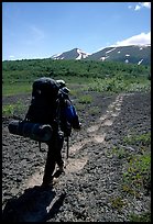 Backpacker follow bear tracks, Valley of Ten Thousand smokes. Katmai National Park, Alaska (color)