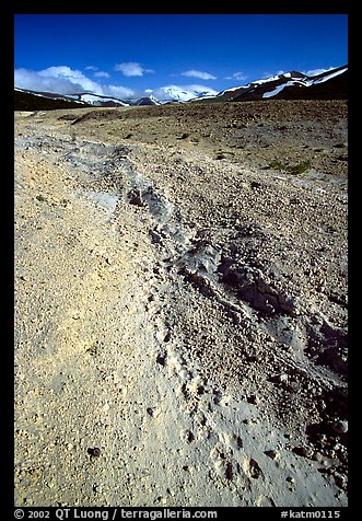 Valley with animal tracks in  ash, Valley of Ten Thousand smokes. Katmai National Park (color)