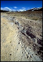 Valley with animal tracks in  ash, Valley of Ten Thousand smokes. Katmai National Park, Alaska, USA. (color)