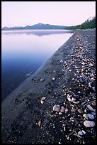 Bear tracks on the shore of Naknek lake. Katmai National Park, Alaska, USA. (color)