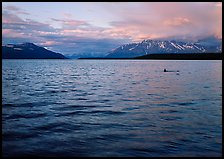 Naknek Lake at sunset with pink clouds. Katmai National Park, Alaska, USA.