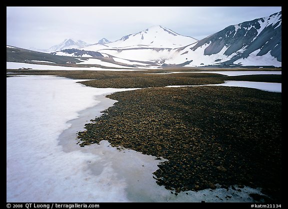 Melting snow and lichens, Valley of Ten Thousand smokes. Katmai National Park (color)