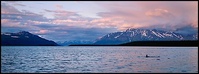 Lake and Mountains with pink clouds at sunset. Katmai National Park (Panoramic color)