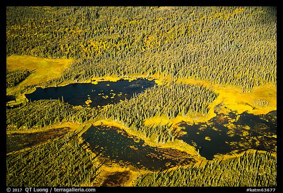 Aerial View of forest and ponds. Katmai National Park, Alaska, USA.