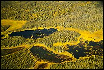 Aerial View of forest and ponds. Katmai National Park ( color)