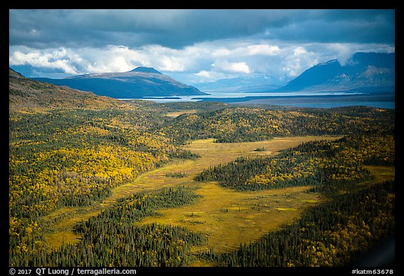 Aerial View of meadows, forest, and Naknek Lake. Katmai National Park, Alaska, USA.