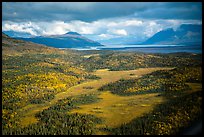 Aerial View of meadows, forest, and Naknek Lake. Katmai National Park, Alaska, USA.