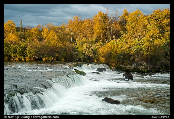 Brooks Falls and bears fishing in autumn. Katmai National Park (color)