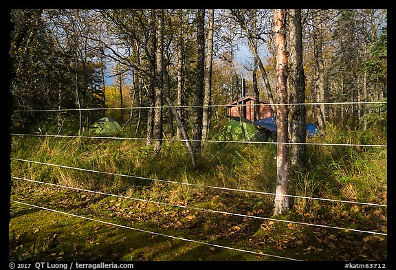 Brooks Camp campground surrounded with electric fence. Katmai National Park, Alaska, USA.