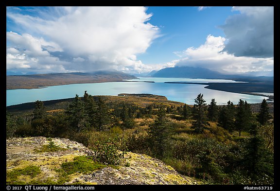 High view of Naknek Lake from treeline. Katmai National Park, Alaska, USA.