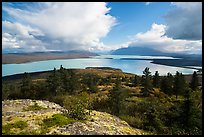 High view of Naknek Lake from treeline. Katmai National Park ( color)