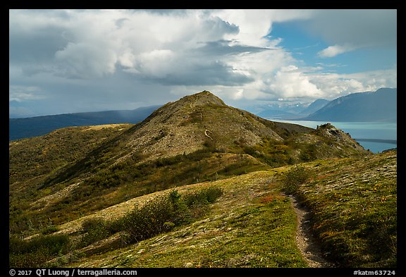 Dumpling Mountain Trail. Katmai National Park, Alaska, USA.