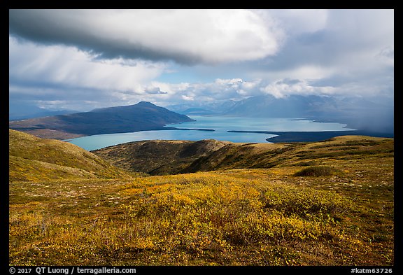 Autum colors on tundra above Naknek Lake. Katmai National Park, Alaska, USA.