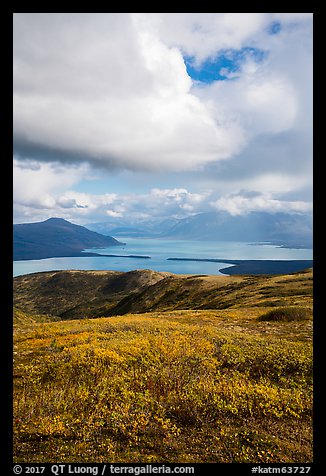 Tundra in fall colors above Naknek Lake. Katmai National Park, Alaska, USA.
