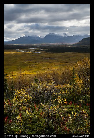 Dappled light over autumn tundra and mountains. Katmai National Park (color)