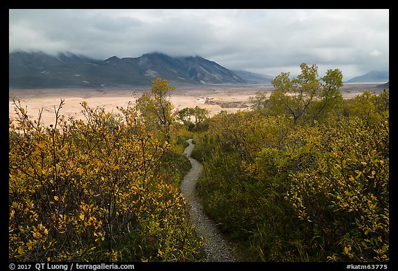 Trail to Valley of Ten Thousand Smokes. Katmai National Park, Alaska, USA.