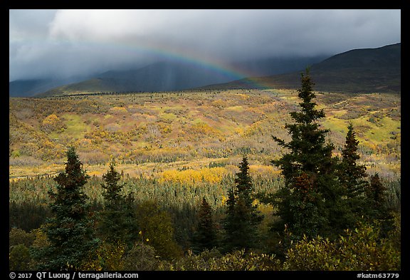 Rainbow over valley in autumn foliage. Katmai National Park, Alaska, USA.