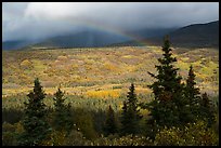 Rainbow over valley in autumn foliage. Katmai National Park, Alaska, USA.