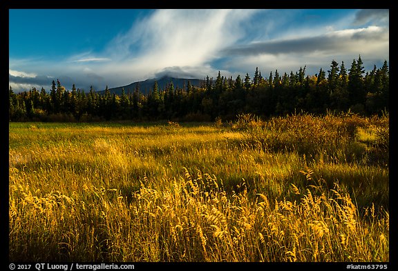 Grasses and mountain in autumn. Katmai National Park, Alaska, USA.